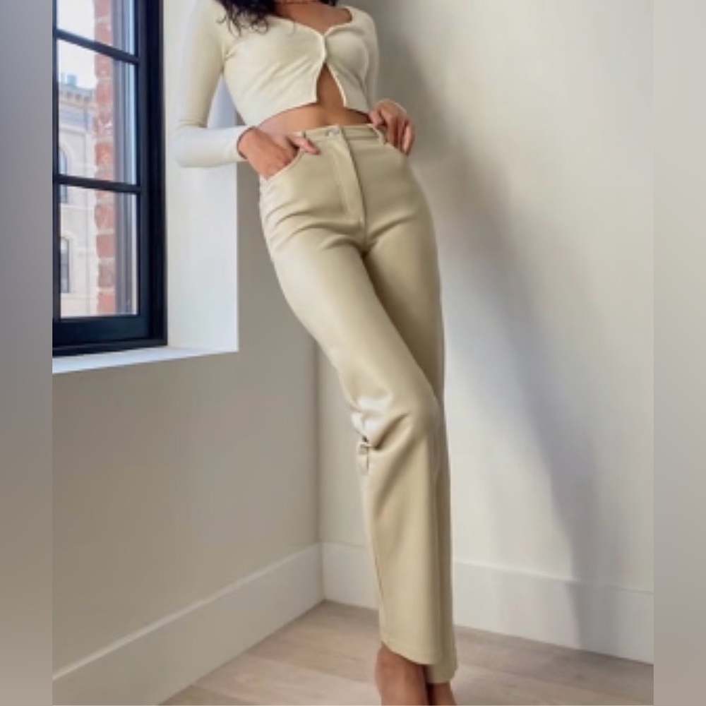 Aritzia Wilfred Leather Pants